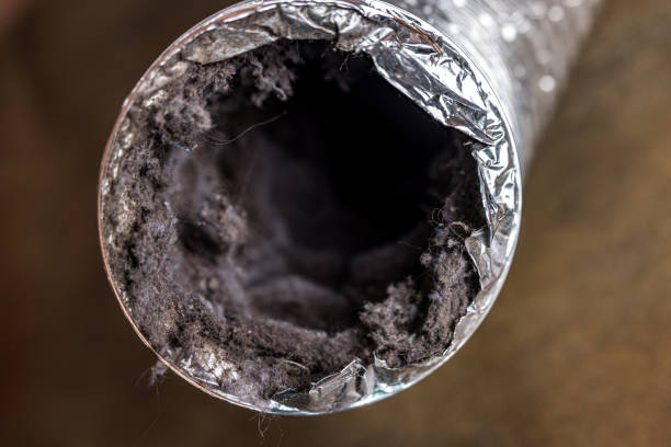 Best Duct Cleaning for Offices  in Deer Park, OH